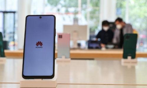 免费手机国产片,免费观影，畅享视听新体验